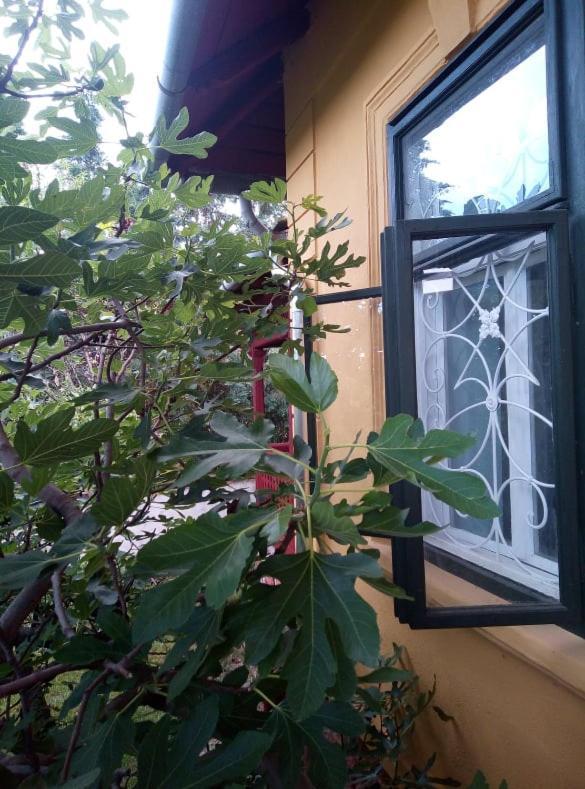 Villa Kundalini Balatonalmádi Εξωτερικό φωτογραφία